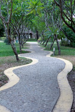 Eğri resort yürüyüş yolu yeşil ağaç