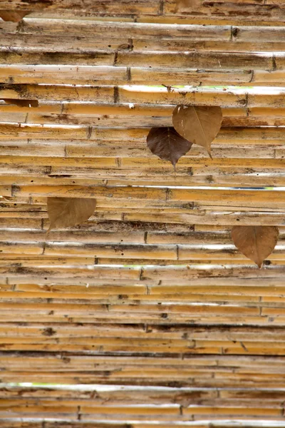 Hojas de Bo Panel de bambú — Foto de Stock