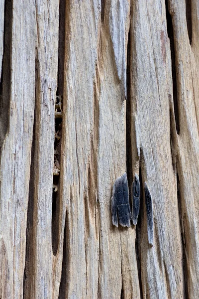 Texture legno vecchio scanalatura — Foto Stock