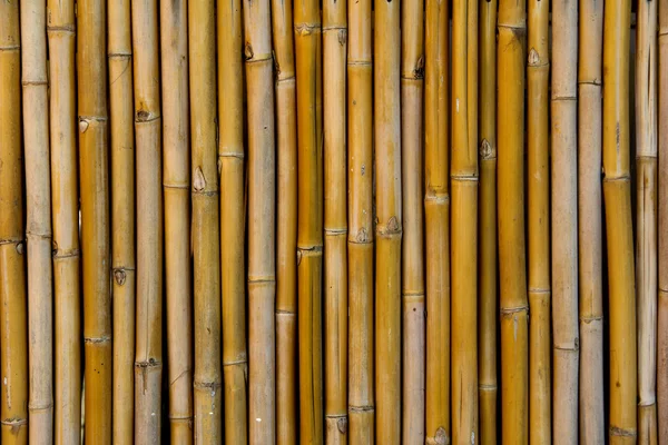 Parede de painel de bambu — Fotografia de Stock