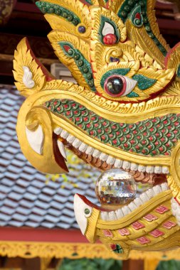 Naga yüz kristal ile