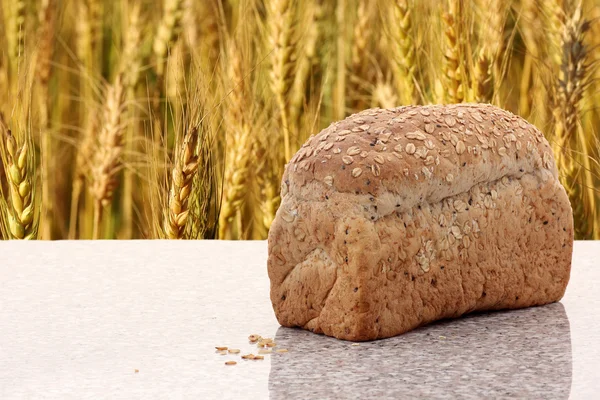 Pan integral con campo de cebada — Foto de Stock