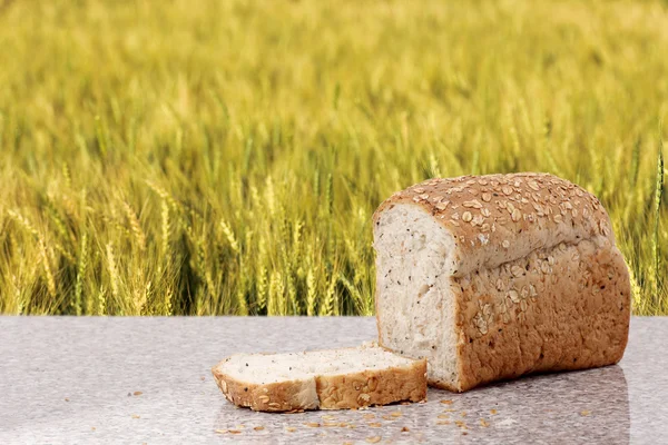 Pan integral con campo de cebada — Foto de Stock