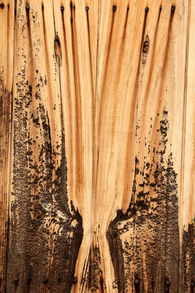 Old wood background vintage texture — Stock Photo, Image