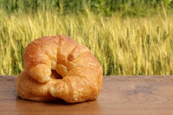 Panadería de croissant en la iluminación de la mesa de madera de teca y campo de cebada — Foto de Stock