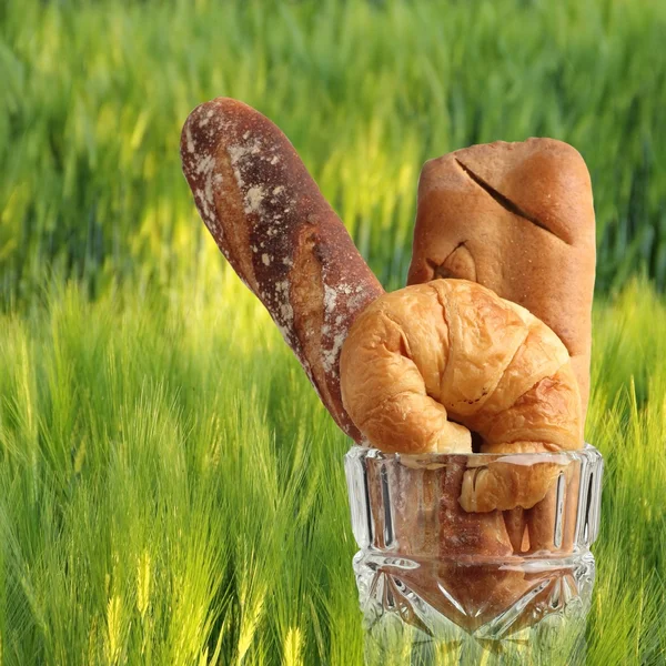 Panadería croissant brad en campo de cebada de vidrio soplado verde — Foto de Stock