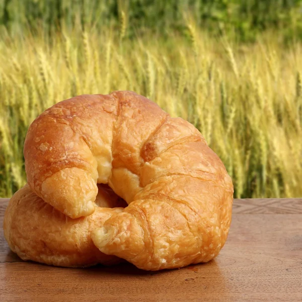 Panadería de croissant en la iluminación de la mesa de madera de teca y campo de cebada — Foto de Stock