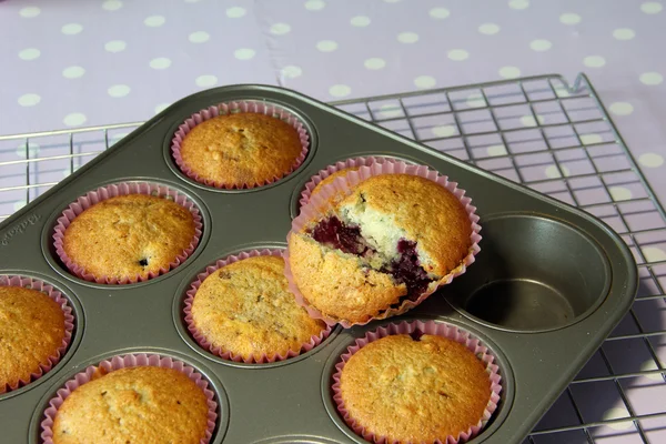 Muffin cooked in tray — Stock Photo, Image