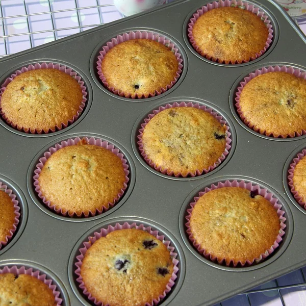 Muffin cuit dans un plateau — Photo