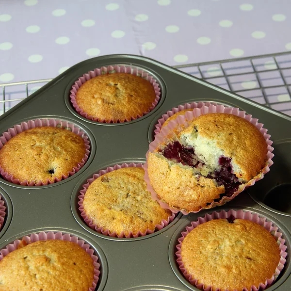 Muffin cooked in tray — Stock Photo, Image