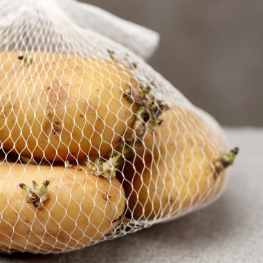 uzun zaman büyüyen patates tutmak