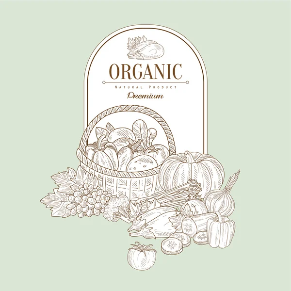 Organic, Vector Ilustração Banner — Vetor de Stock