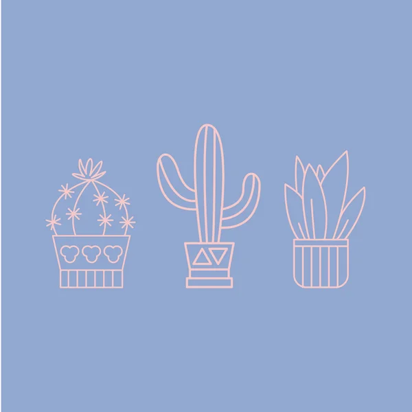 植物と鉢のサボテン — ストックベクタ