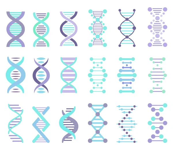 DNA Strands Set — Stock Vector