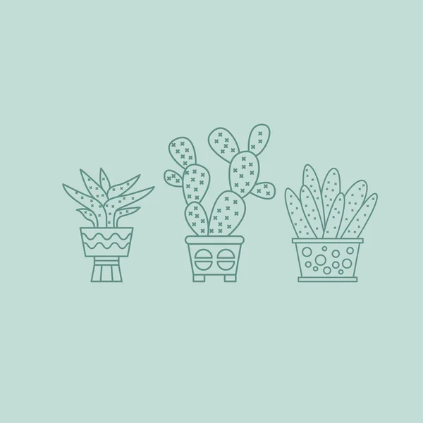 Φυτά και κάκτους σε γλάστρες — Διανυσματικό Αρχείο