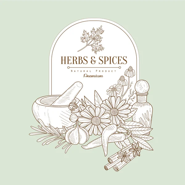 Ervas aromáticas e especiarias, Vector —  Vetores de Stock