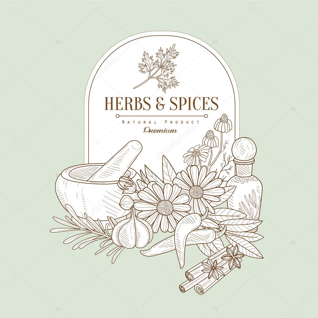Herbs and Spices, Handdrawn Vector Illustration Banner