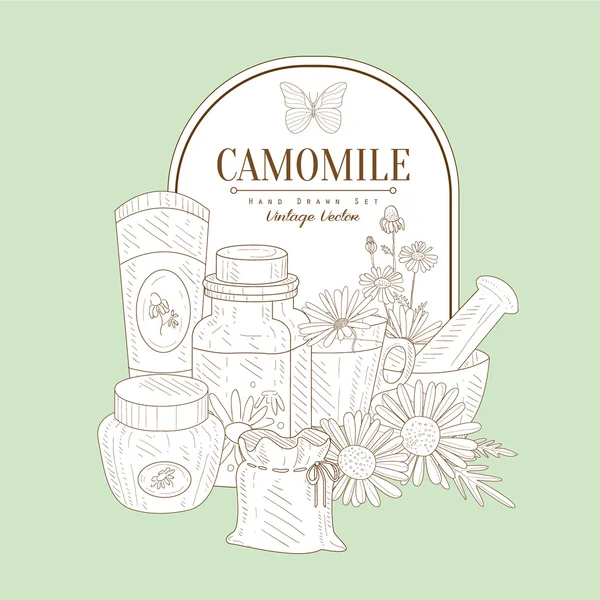 Vintage skiss med Camomile kosmetika — Stock vektor