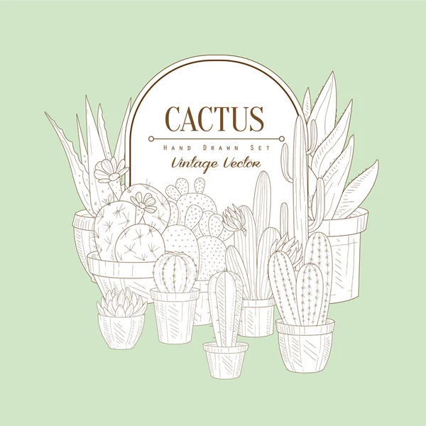 Вінтажний ескіз з кактусами — стоковий вектор