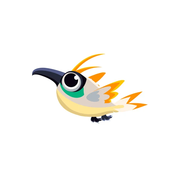 Multicolor Paradise Bird — Stock Vector