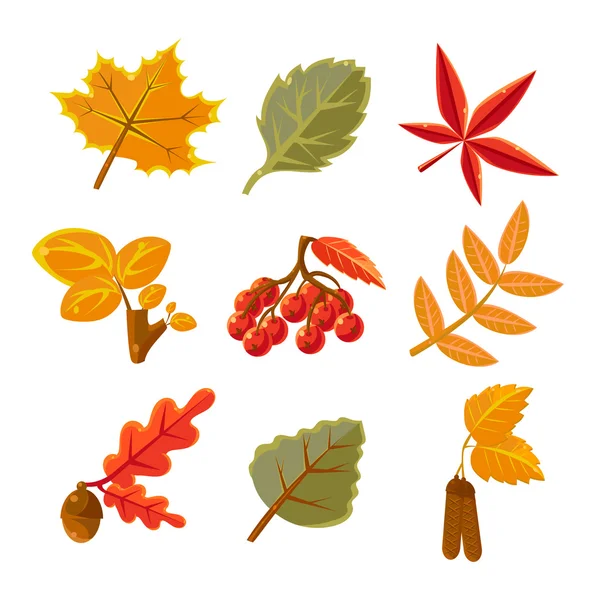 Feuilles d'automne ensemble — Image vectorielle