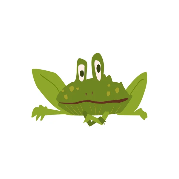 Мультфильм "Плоская жаба" — стоковый вектор