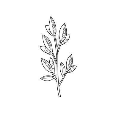 Şube Zentangle boyama