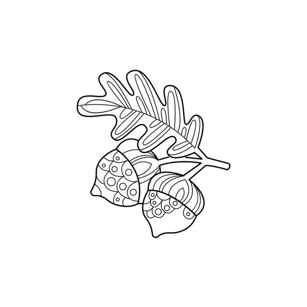 Acorns et feuille Zentangle pour la coloration — Image vectorielle