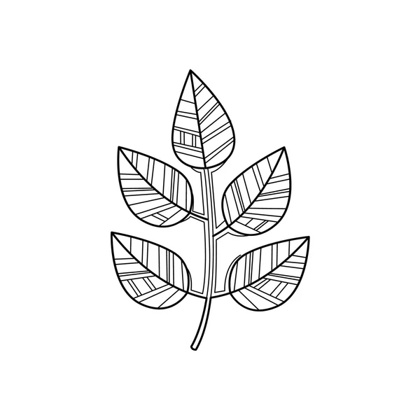 Branche Zentangle pour la coloration — Image vectorielle