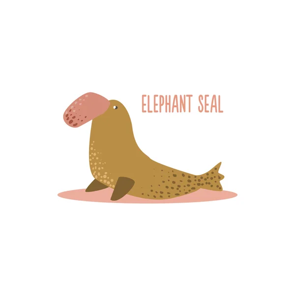 Elefante Seal Vector Ilustración — Archivo Imágenes Vectoriales