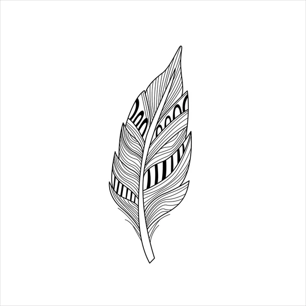 Vaned Feather Zentangle para colorir —  Vetores de Stock