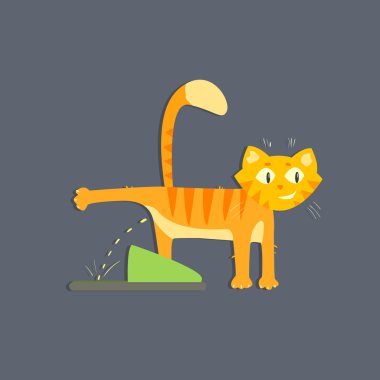 Kedi Peeing görüntü