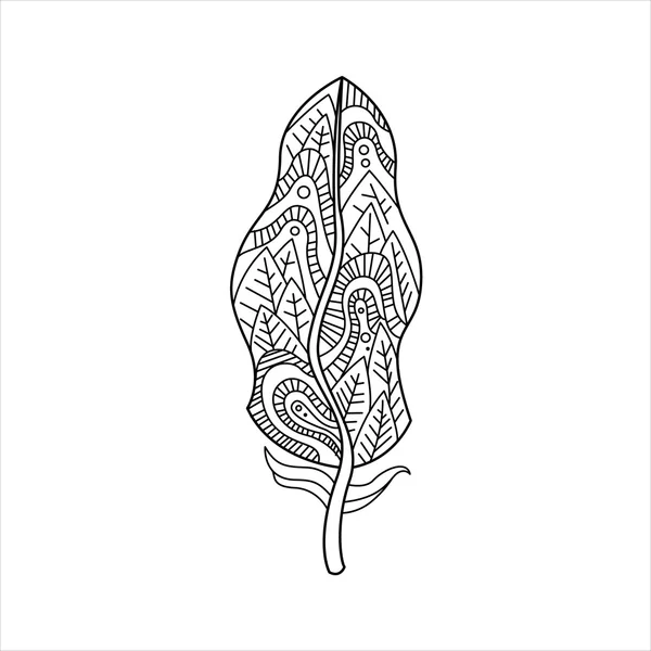 Vaned Feather Zentangle for Coloring — стоковый вектор