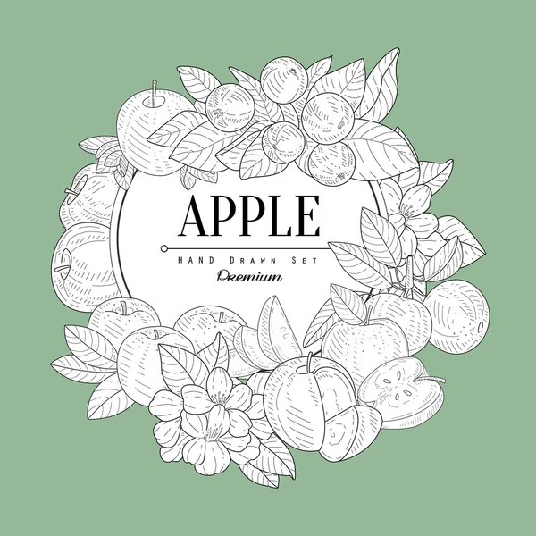 Conjunto de maçãs Vintage Sketch — Vetor de Stock