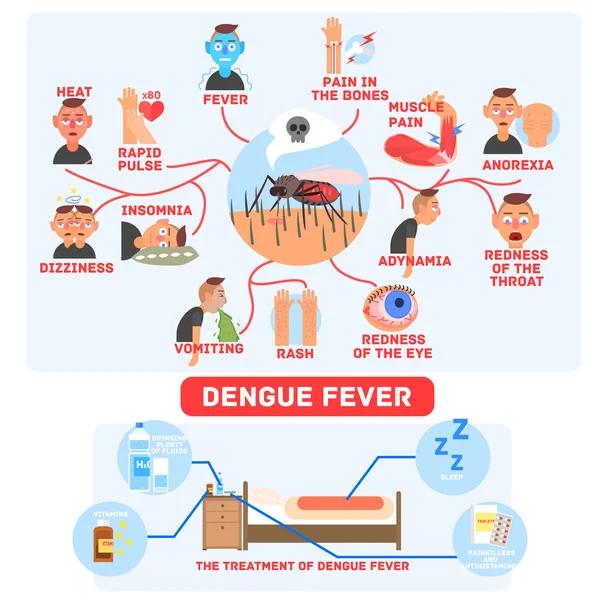 Infografías del dengue — Archivo Imágenes Vectoriales
