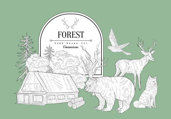 Лісові теми Вінтажний ескіз — стоковий вектор