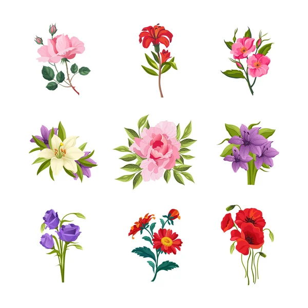 Jardín flores conjunto — Vector de stock