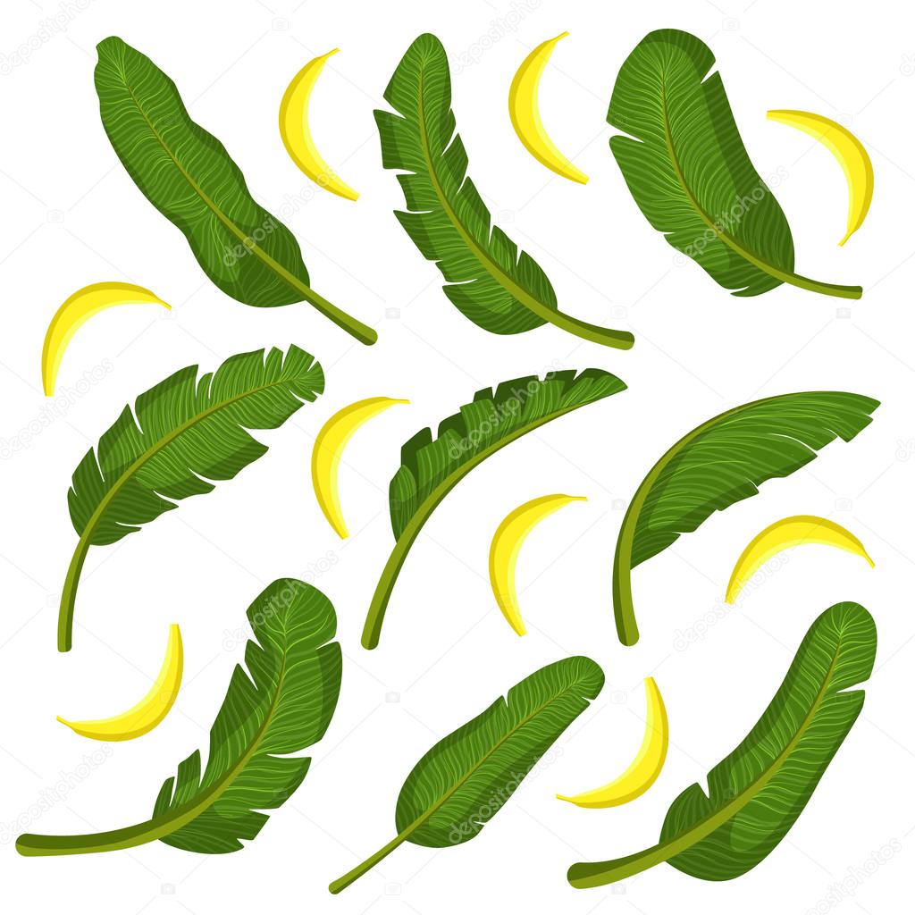 Tropical Leaves With Bananas Vector Image By C Topvectors Vector Stock