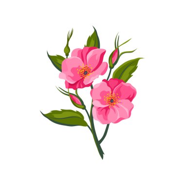 Köpek gül el gerçekçi şekilde çekilmiş