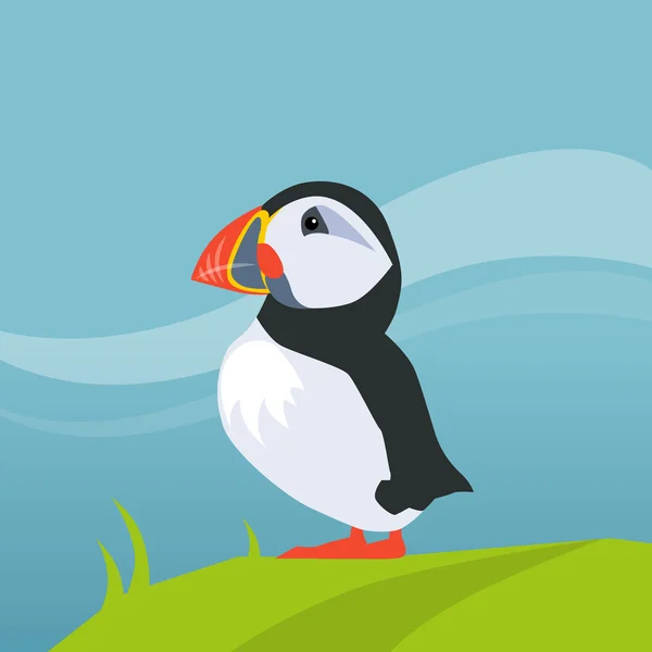 Puffin Bird In Iceland — Stock Vector