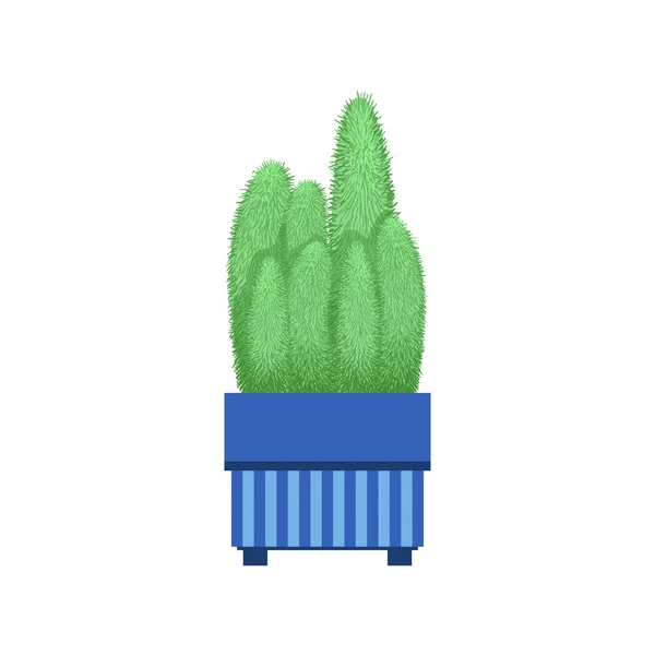 Molti Cacti alti in un vaso — Vettoriale Stock