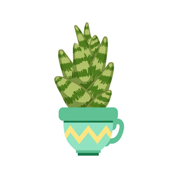 Sansevieria in un vaso — Vettoriale Stock