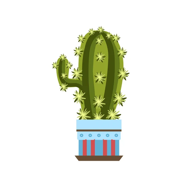 Cactus alto con un ramo in un vaso — Vettoriale Stock