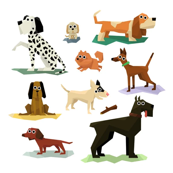 Different Dog Breeds Set — Stock Vector