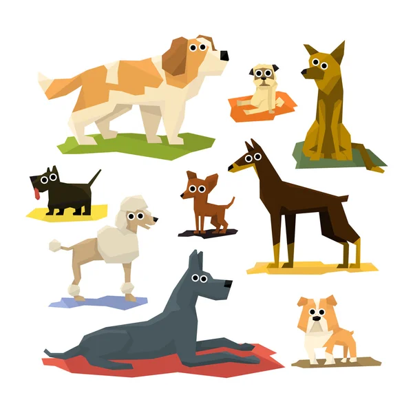 Different Dog Breeds Collection — Stock Vector