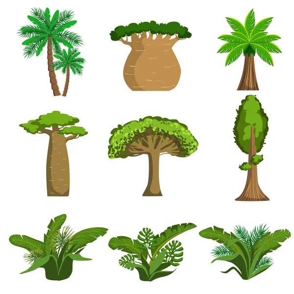 丛林中的树木和植物组 — 图库矢量图片