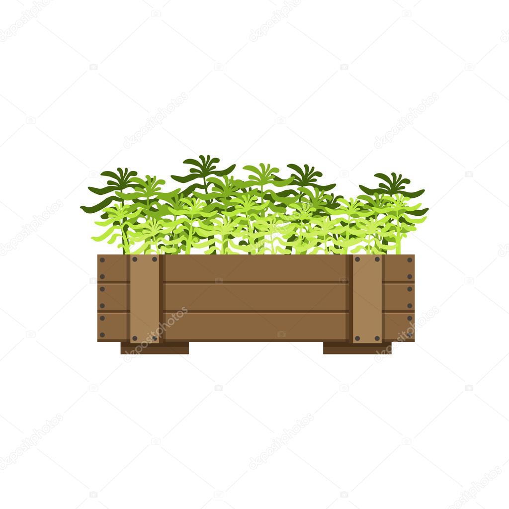 Plants In A Wooden Crate Bright Color Simple Style Flat Vector Illustrations On White Background By TopVectors Plants In A Wooden Crate Bright Color Simple Style Flat Vector Illustrations On White Background By TopVectors