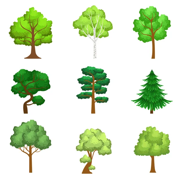 Conjunto de árboles realistas — Vector de stock