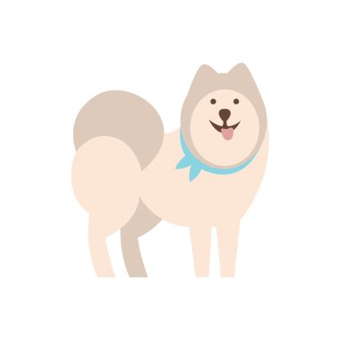 Husky köpek doğurmak