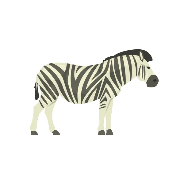 Zebra disegno semplificato realistico — Vettoriale Stock
